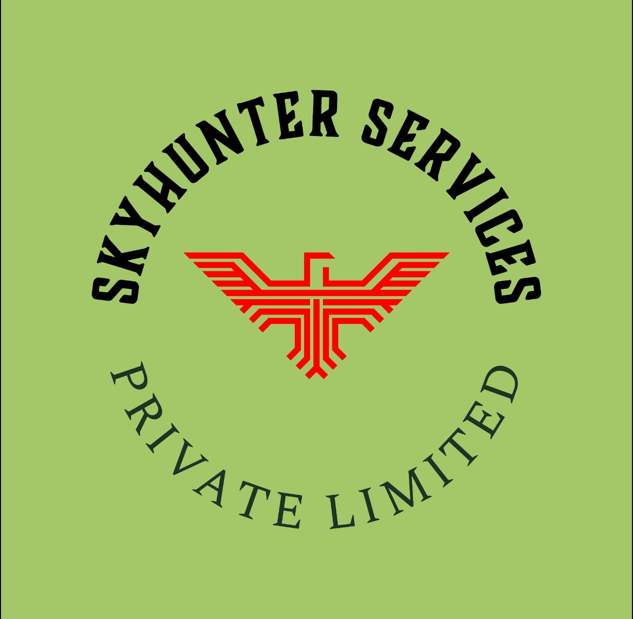 Skyhunter Services logo